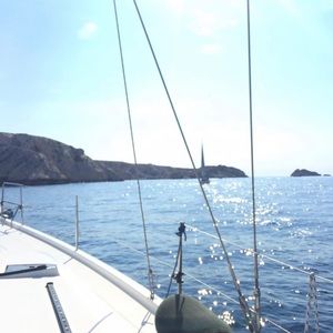 Meet your Posher, Rosie